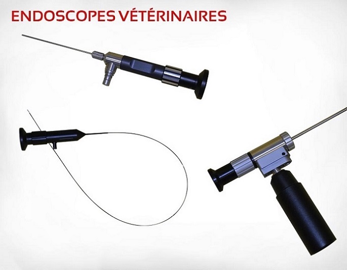 Découvrez notre gamme d'endoscopes vétérinaires
